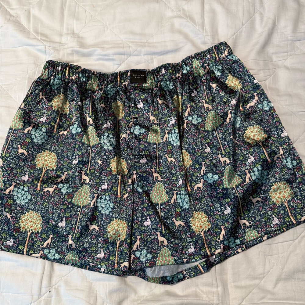 American Eagle Satin Boxers